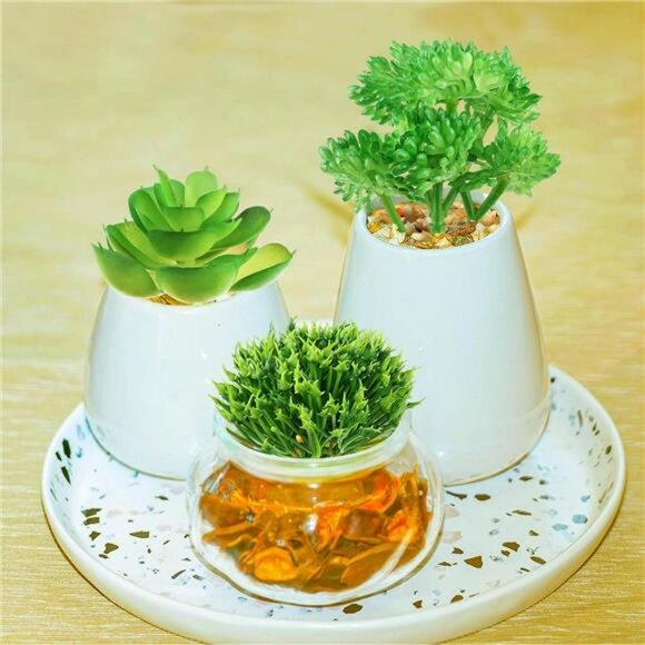 6pcs mini artificial succulent plants bulk fake greenery for diy craft home deco - Picture 5 of 8